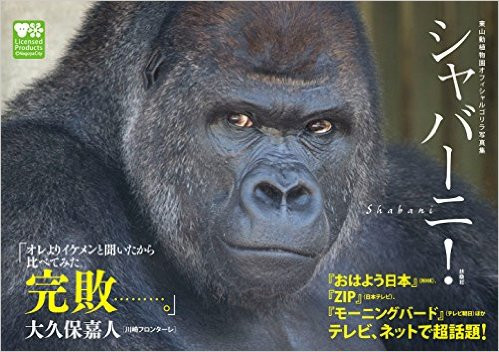 ちなみに事件はフィクションですがシャバーニさんは実在します。こんなお顔です。画像は東山動物園オフィシャルゴリラ写真集『シャバーニ！』より。アマゾンでも買えます